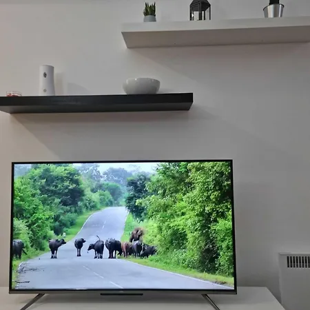 Twinart 2 Adjacent Recent Hosting Up To 8 Guests For Work And Living Belgrade